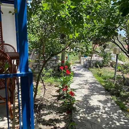 Arslan Datça